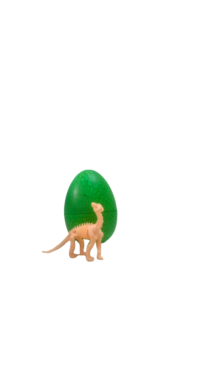 OVO DE DINOSSAURO FOSSEIS